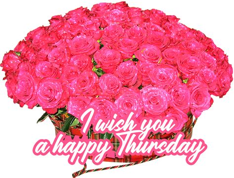 happy thursday gif animated|Happy Thursday Animated GIFs